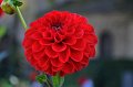 Buga_Koblenz   054